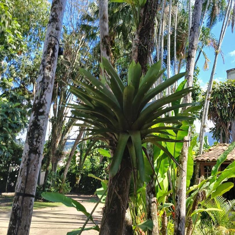 Canto dos Pássaros Araquari Exterior foto