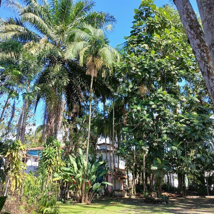 Canto dos Pássaros Araquari Exterior foto